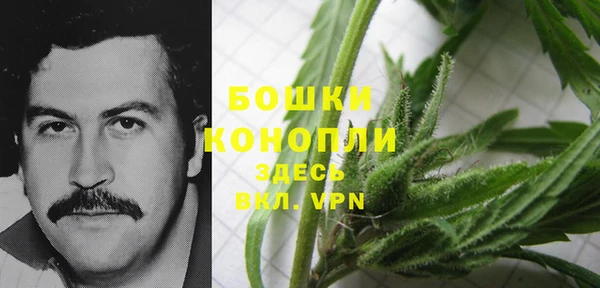 ALPHA PVP Богородск