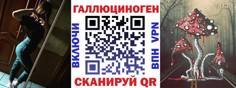 где купить наркоту  Гусев  Псилоцибиновые грибы ЛСД 
